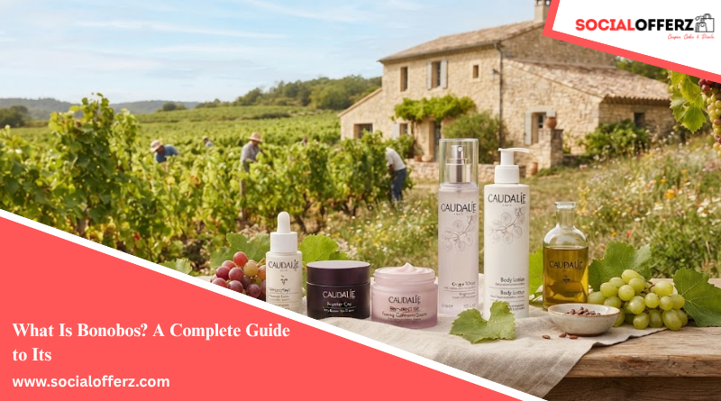 What Is Caudalie? How Does Caudalie Work for Skin Care?